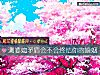 《测婆媳<i>矛盾</i>会不会终结你的婚姻》测试