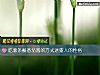 《吃薯条蘸番茄酱的方式透露人的<i>性格</i>》测试