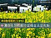 《测你在异性<i>眼中</i>是稳重还是死板》测试