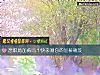 《想<i>职场</i>加薪吗？快来测你的加薪秘笈》测试