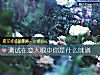 《测试在恋人<i>眼中</i>你是什么味道》测试