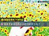 《测<i>本年</i>职场会有小人给你使绊子吗？》测试