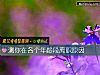 《测你在各个年龄段离职<i>原因</i>》测试