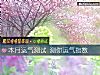 《本月运气测试 测你运气<i>指数</i>》测试