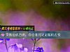 《突然<i>危机</i>四伏，你会装死还是随机应变》测试