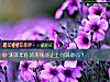 《测<i>本年</i>你的表现能让上司满意吗？》测试