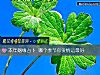 《本年姻缘占卜 哪个季节你<i>爱情</i>运最好》测试