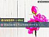 《测试你能够在不公平的<i>职场</i>中待多久》测试