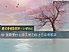《测需要付出<i>多久</i>努力你才会获得收获》测试
