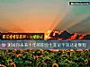 《测试你未来十年的<i>职业</i>生涯是平淡还是辉煌》测试