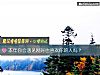 《本年你会<i>遇见</i>刚好也喜欢你的人吗？》测试