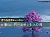 《测你的<i>另一半</i>爱上你的原因》测试