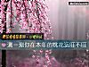 《测一测你在本年的<i>桃花</i>运旺不旺》测试