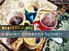 《耐心100分 你的性格<i>特质</i>是考拉型的吗？》测试