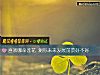 《喜欢哪朵莲花 测你未来<i>发展</i>前景好不好》测试