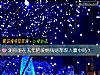 《测你能在去年把<i>爱情</i>钱财都收入囊中吗？》测试