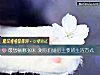 《最想躺哪张床 测你们婚后主要的<i>生活</i>方式》测试