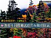 《<i>本年</i>十月份测试你会有哪些好运》测试