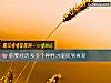 《你要经历多少个<i>异性</i>才能找到真爱》测试