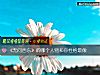 《《无问西东》的<i>哪个</i>人物和你性格最像》测试