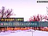 《测你在<i>生活</i>中为什么只有酒肉朋友》测试
