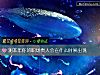 《测本年你的职场贵人会在<i>什么时候</i>出现》测试