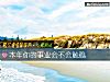 《本年你的<i>事业</i>会不会触礁》测试