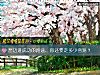 《想迈进<i>成功</i>的路途，你还要走多少弯路？》测试