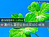 《测什么事会让你在<i>职场</i>中树敌》测试