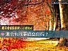《测会有同事<i>暗恋</i>你吗？》测试