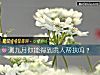 《测九月你能得到<i>贵人</i>帮扶吗？》测试