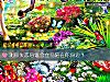 《测你<i>失恋</i>后谁会立马陪在你身边？》测试