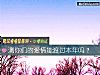 《测你们的爱情能渡过<i>本年</i>吗？》测试