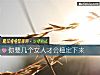 《你要几个<i>女人</i>才会稳定下来》测试