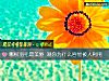 《哪根羽毛最美丽 测你为什么容<i>易被</i>人利用》测试