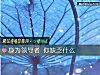 《身为<i>领导</i>者 你缺乏什么》测试