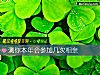 《测你<i>本年</i>会参加几次相亲》测试