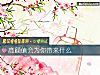 《高颜值会为你带来什么》测试