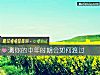 《测你的<i>中年</i>时期会如何渡过》测试