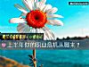 《上半年你的<i>职业</i>危机从哪来？》测试