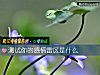 《测试你的<i>感情</i>雷区是什么》测试