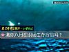 《测你八月在<i>职场</i>生存容易吗？》测试