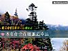 《<i>本年</i>你会在哪邂逅幸运》测试