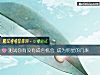《测试你有没有成名<i>机会</i> 成为明星的几率》测试