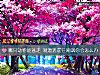 《哪只动物能逃走 测遭遇<i>前任</i>嘲讽你会怎么办》测试