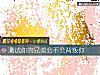 《测试你的兄弟会不会<i>背叛</i>你》测试