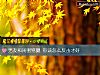 《男友和<i>闺蜜</i>劈腿 你该怎么反击才好》测试