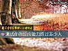《测试你的反应<i>能力</i>胜过多少人》测试