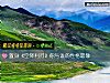 《置身《空降利刃》你与谁的<i>性格</i>最像》测试