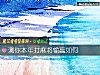 《测你本年打麻将输赢如何》测试